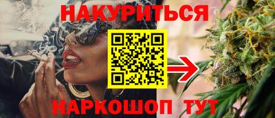 амф Новозыбков
