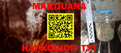 амф Новозыбков