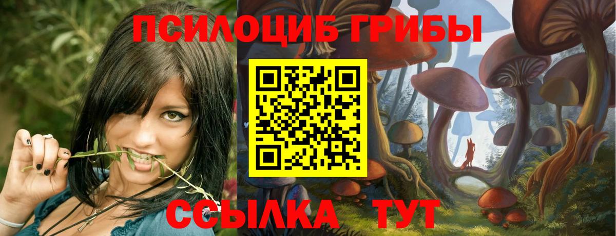 Углич  Псилоцибиновые грибы мухоморы  Галлюциногенные грибы GOLDEN TEACHER  Вход с VPN 